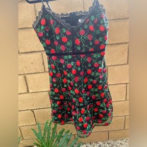 Jack by BB Dakota Dress size 4